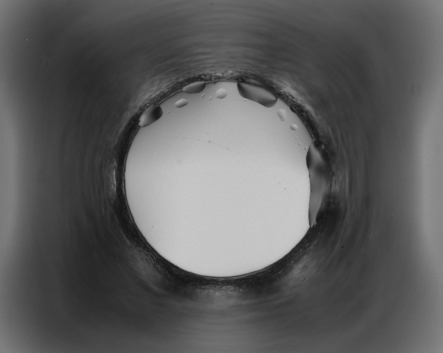 X0000086740685200705041408