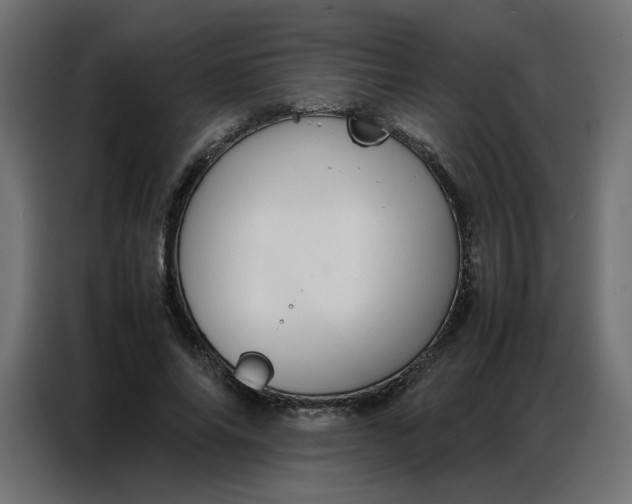 X0000086740686200705041408