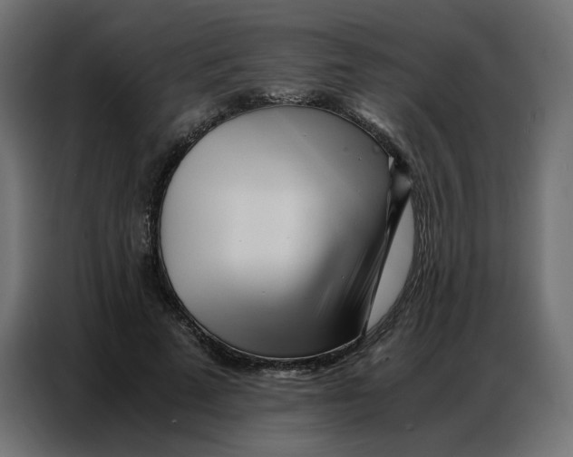 X0000086740689200705041408