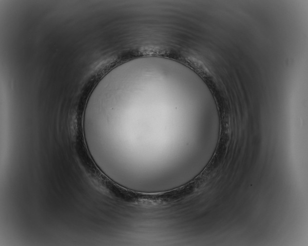 X0000086740690200705041408