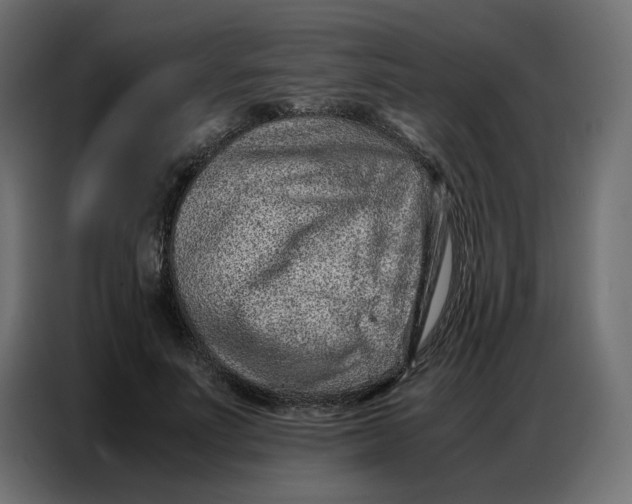 X0000086740691200705041408