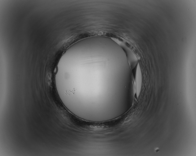 X0000086740693200705041408