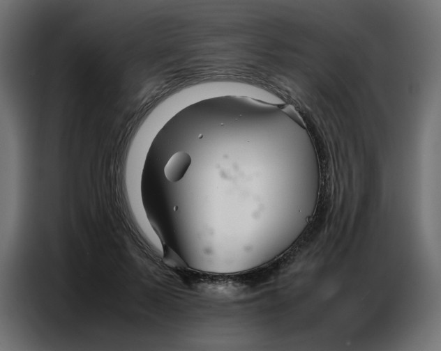 X0000086740695200705041408