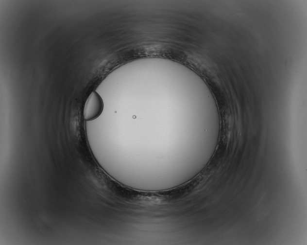 X0000086740698200705041408