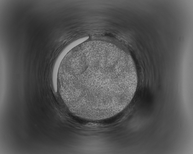 X0000086740699200705041408