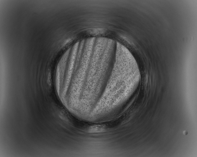 X0000086740700200705041408