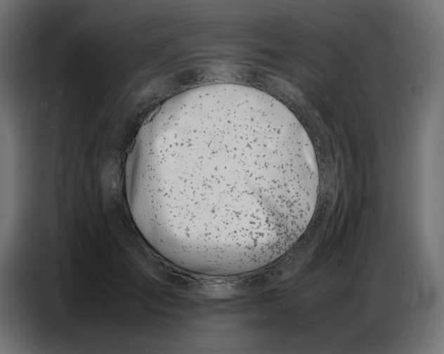 X0000086740701200705041408