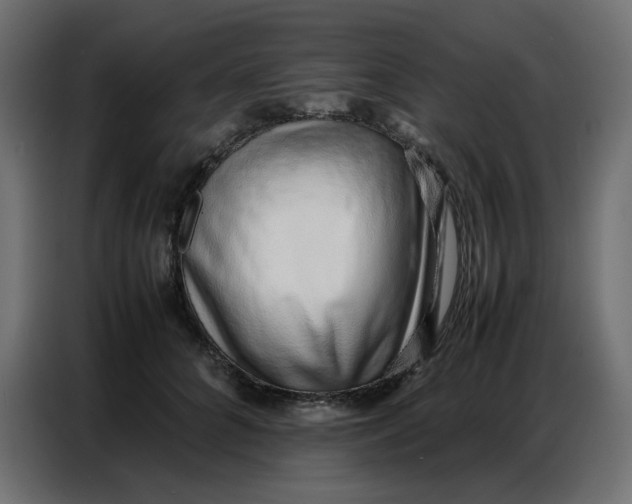 X0000086740704200705041408