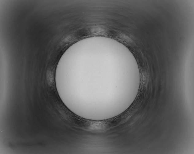 X0000086740705200705041408