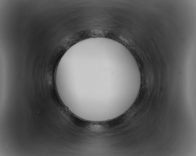 X0000086740706200705041407