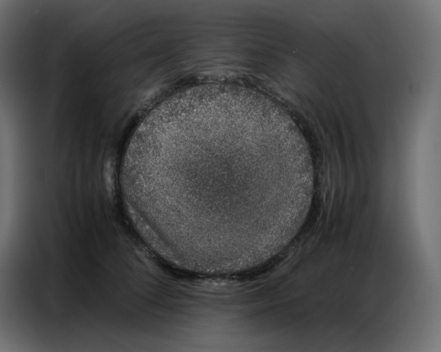 X0000086740708200705041407