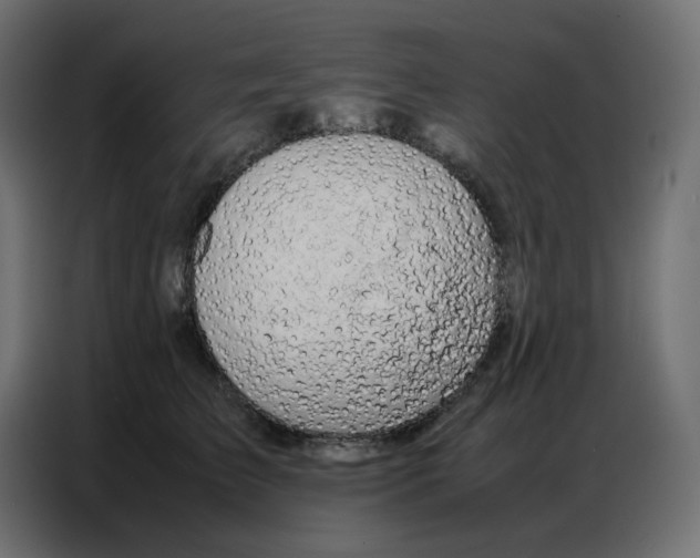 X0000086740709200705041407