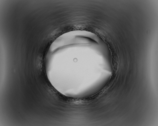 X0000086740710200705041407