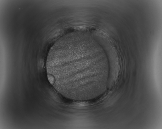 X0000086740711200705041407