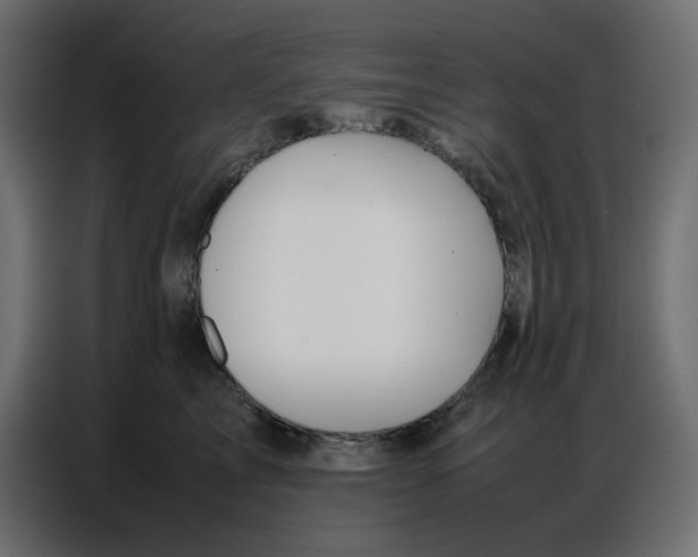 X0000086740713200705041407