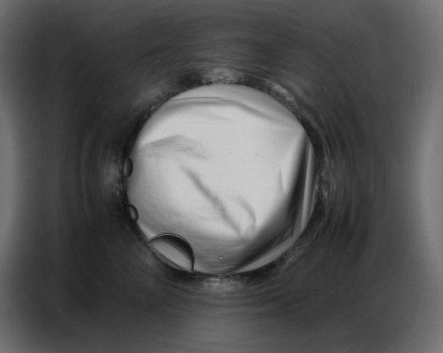 X0000086740714200705041407