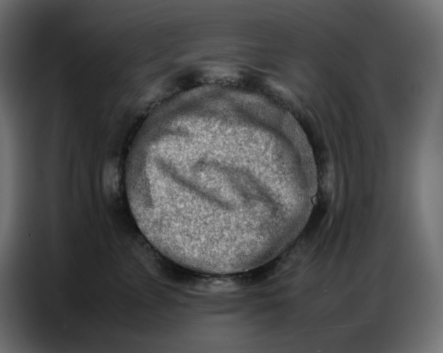 X0000086740715200705041407