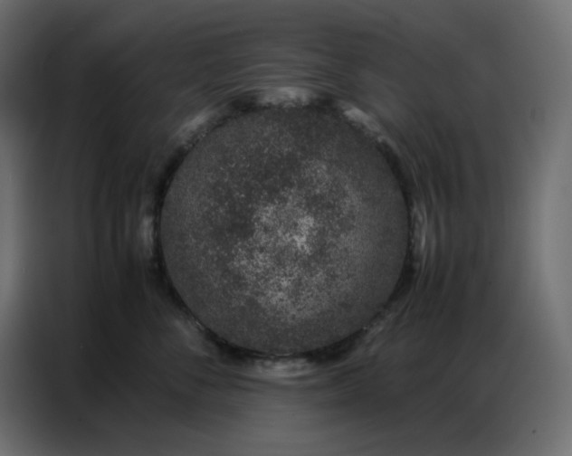 X0000086740716200705041407