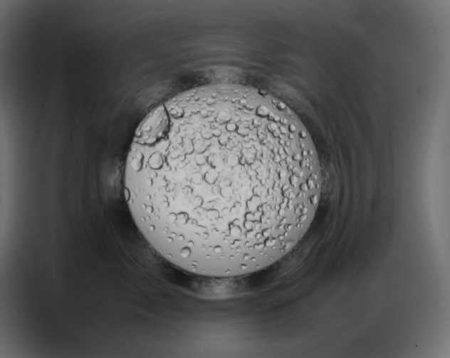 X0000086740717200705041407