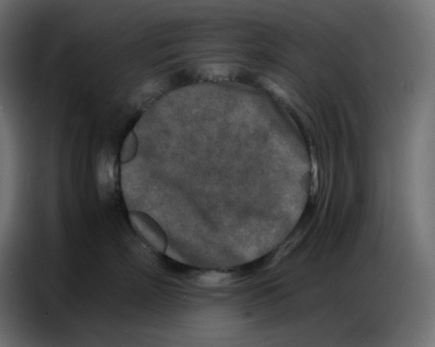 X0000086740718200705041407