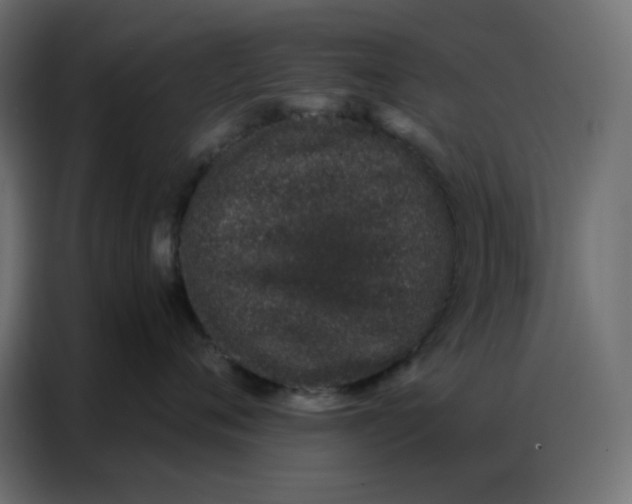 X0000086740720200705041407