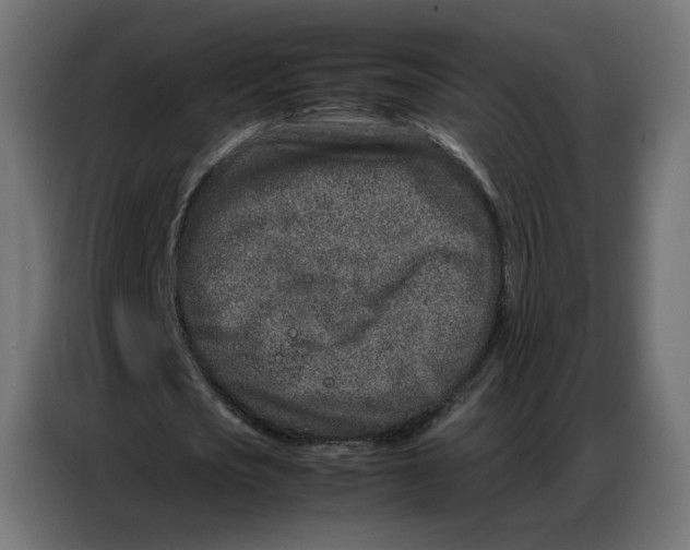 X0000086740721200705041407