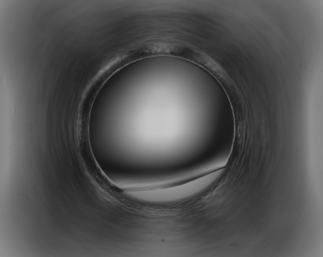 X0000086740722200705041407