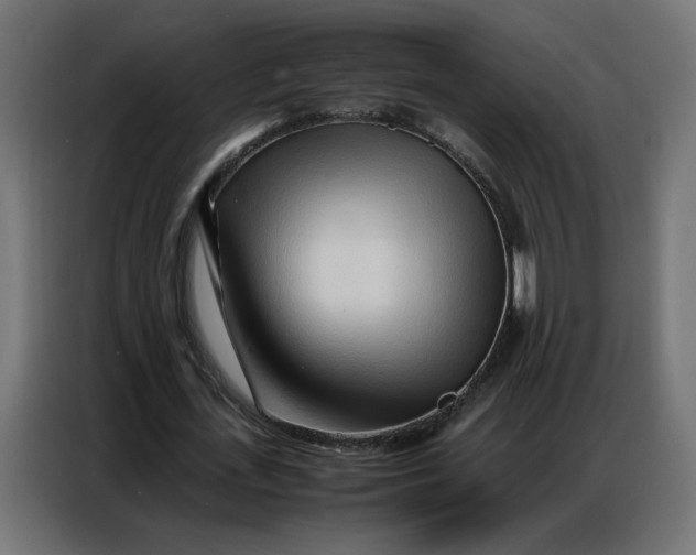 X0000086740723200705041407