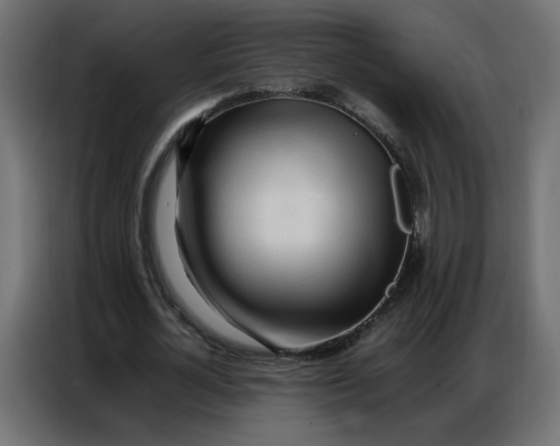 X0000086740724200705041407