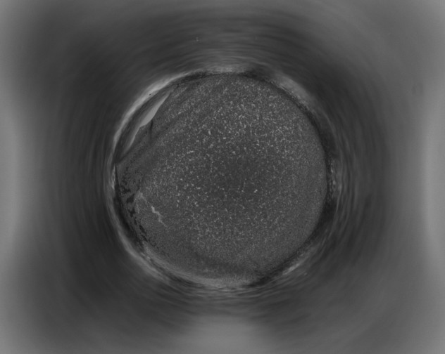 X0000086740726200705041407