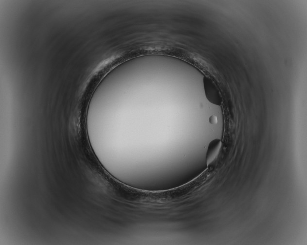 X0000086740727200705041407