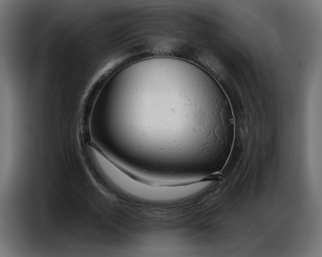 X0000086740728200705041407