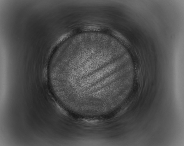 X0000086740729200705041407