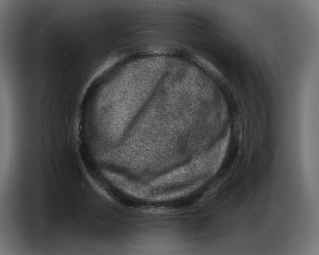 X0000086740730200705041407