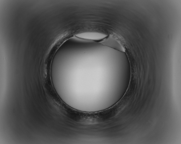 X0000086740731200705041407