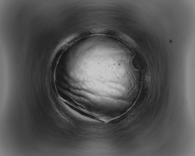 X0000086740732200705041407