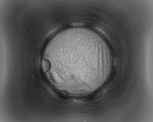 X0000086740733200705041407