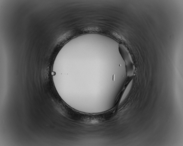 X0000086740735200705041407