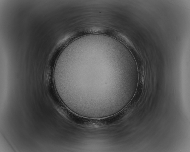 X0000086740736200705041407