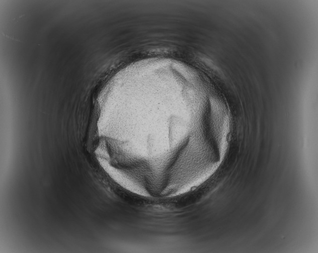 X0000086740737200705041407