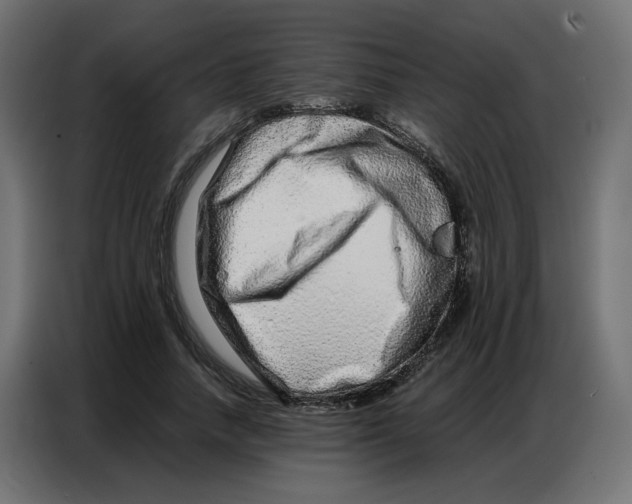 X0000086740738200705041407