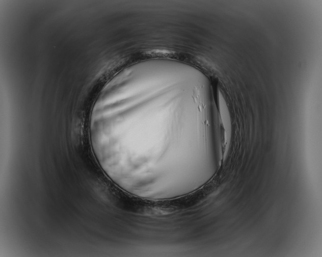 X0000086740739200705041407