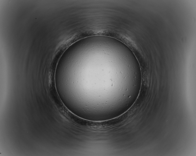 X0000086740740200705041407