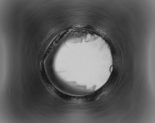 X0000086740742200705041407