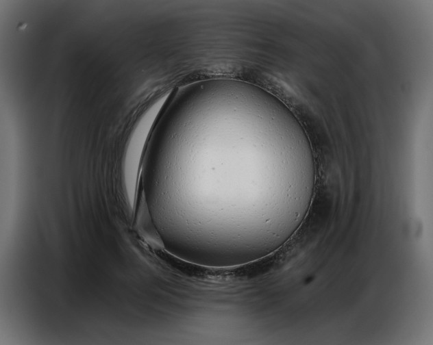 X0000086740744200705041407