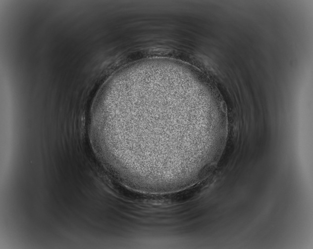 X0000086740745200705041407