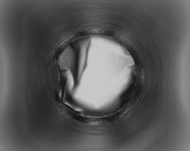 X0000086740746200705041407