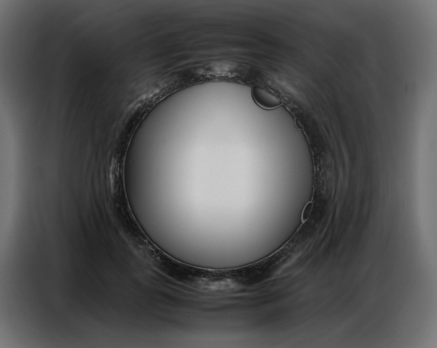 X0000086740747200705041407