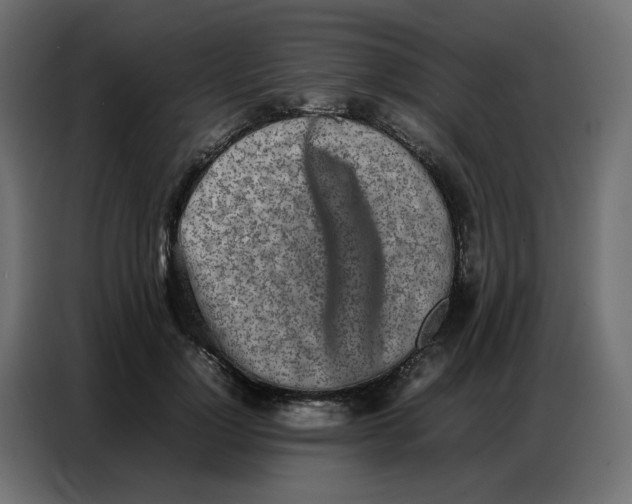 X0000086740748200705041407