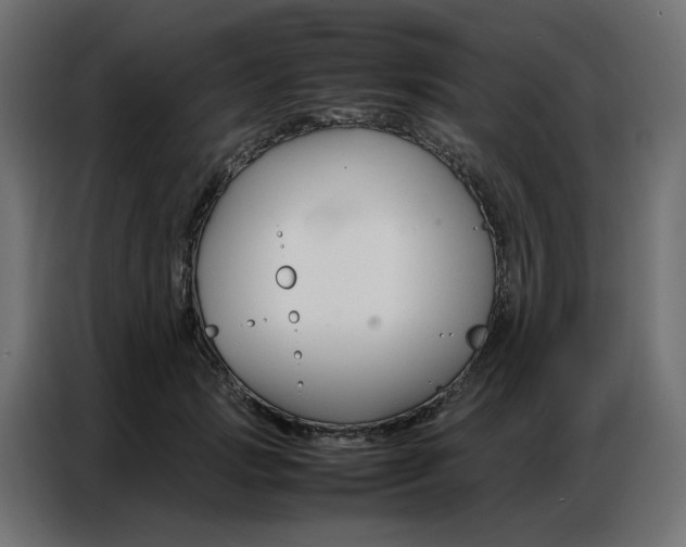 X0000086740749200705041407